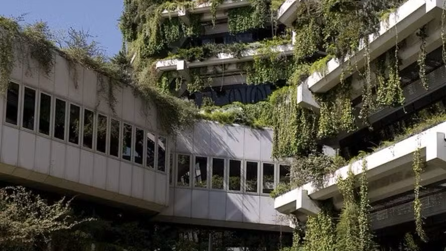 Edifício com vegetações estilo brutalistas. Fonte: revistacasaejardim.globo.com